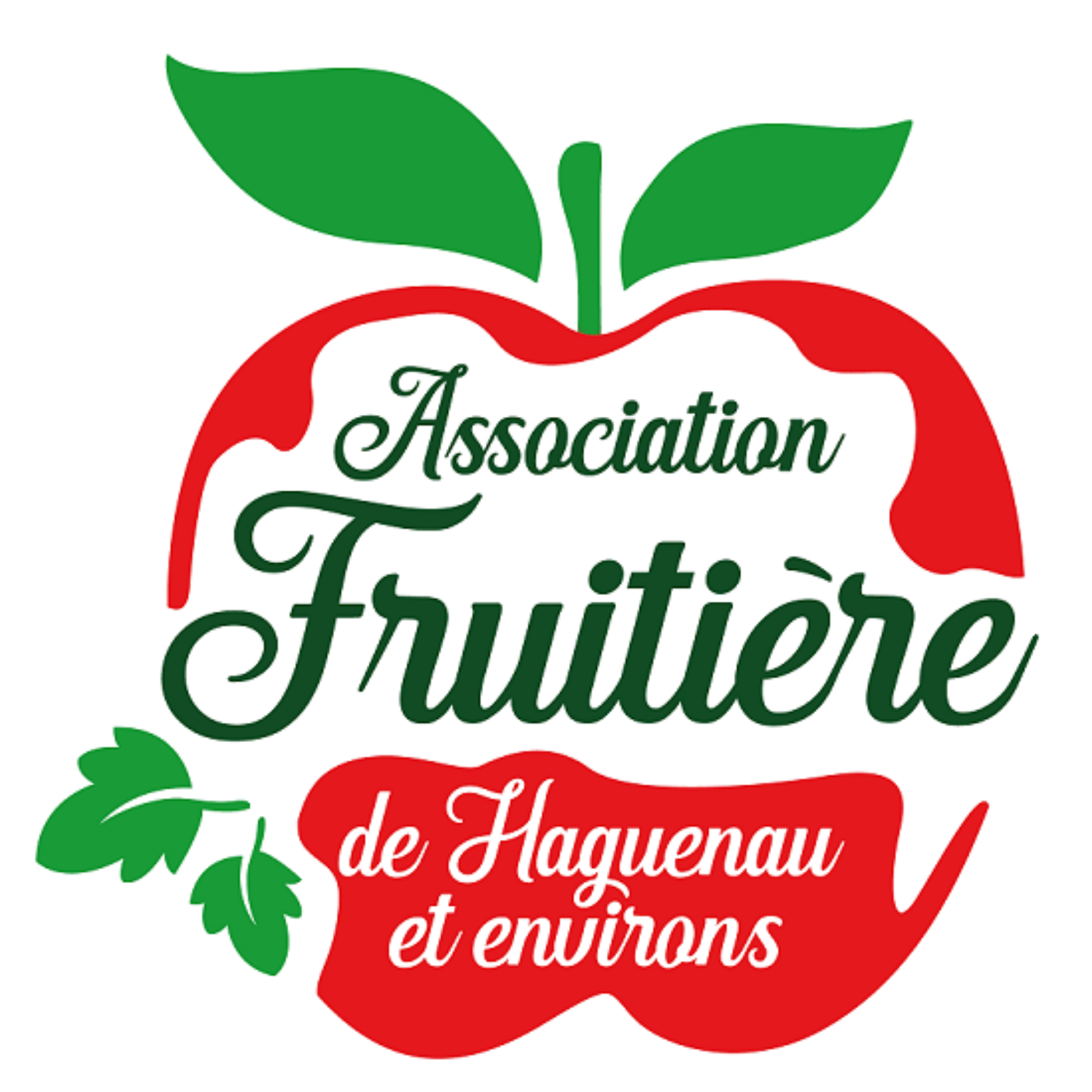 default-logo